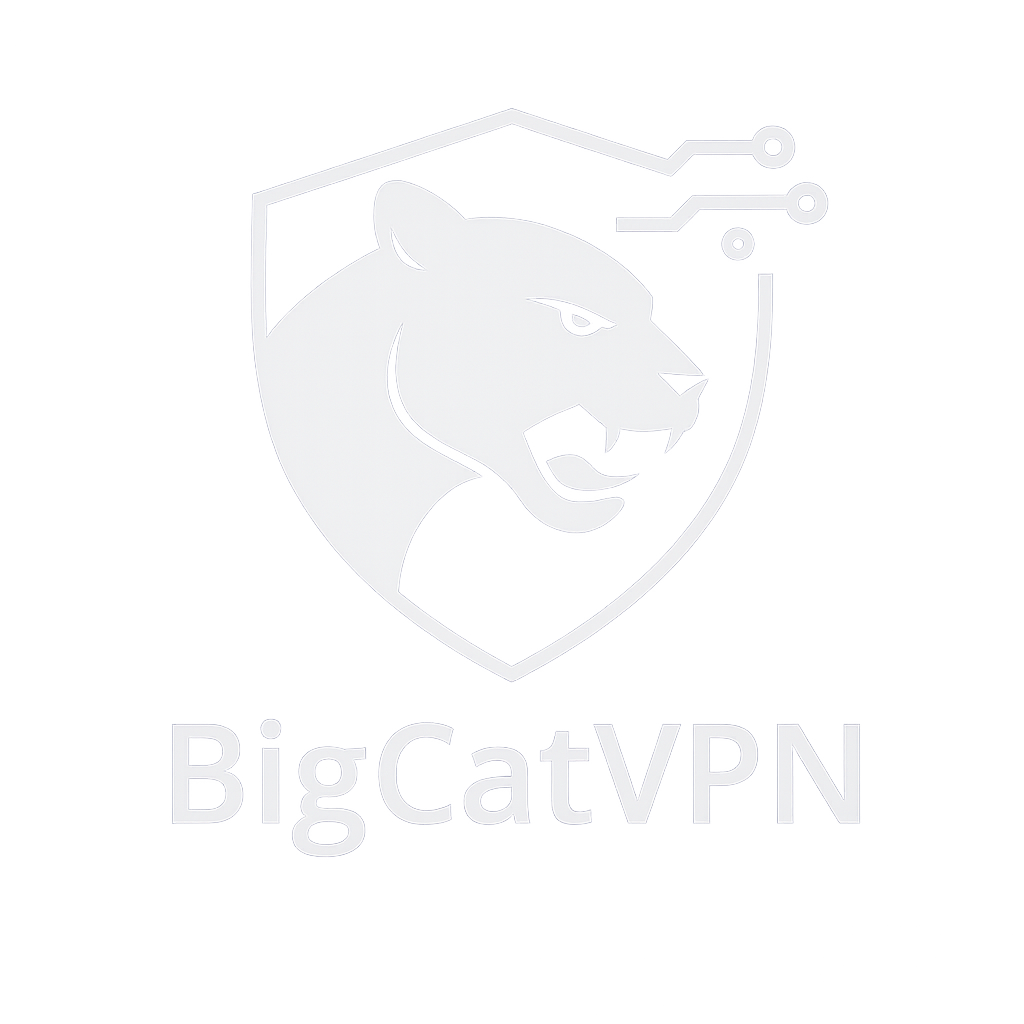 BigCatVPN Logo